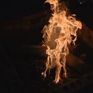 Meet your Posher, Joey